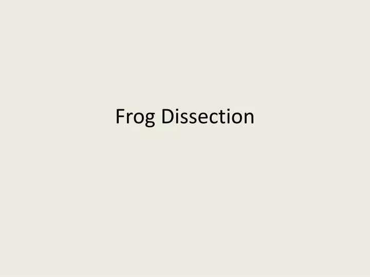 frog dissection n.