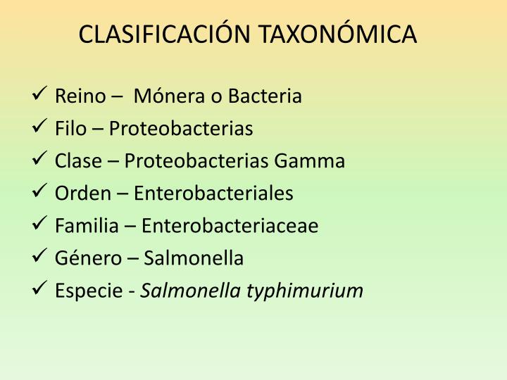 PPT BACTERIAS GAM NEGATIVAS PATÓGENAS PARA EL HOMBRE