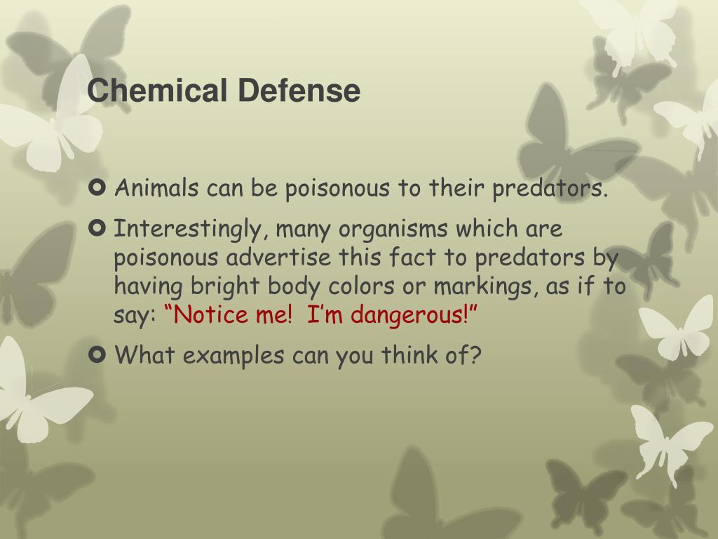 PPT - Animal Adaptations against Predators PowerPoint Presentation, free download - ID:2283029 PPT - Animal Adaptations against Predators PowerPoint Presentation, free download - ID:2283029