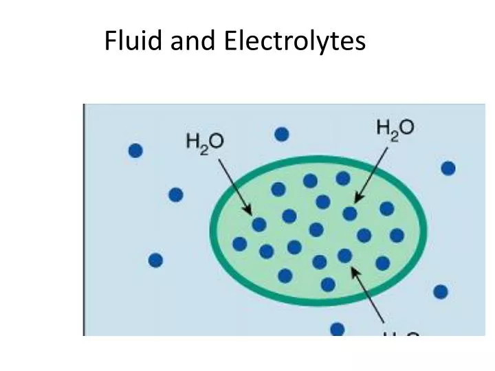 fluid and electrolytes n.
