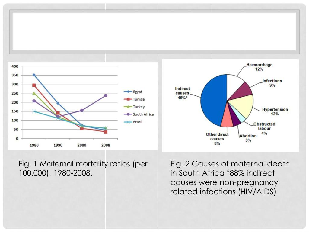 PPT - Health care in south africa : FOCUSING ON WOMEN AND CHILDREN ...