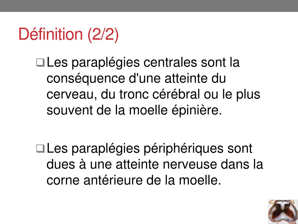 PPT - La paraplégie PowerPoint Presentation, free download - ID ...