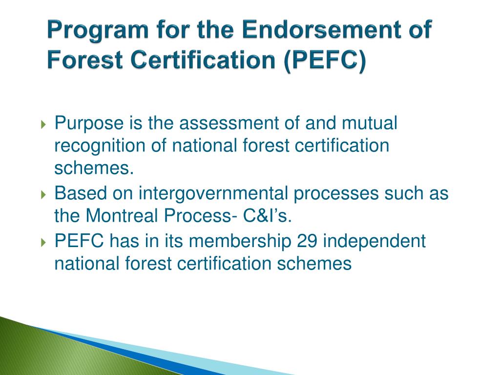 PPT Forest Certification Basics PowerPoint Presentation free PPT Forest Certification Basics PowerPoint Presentation free