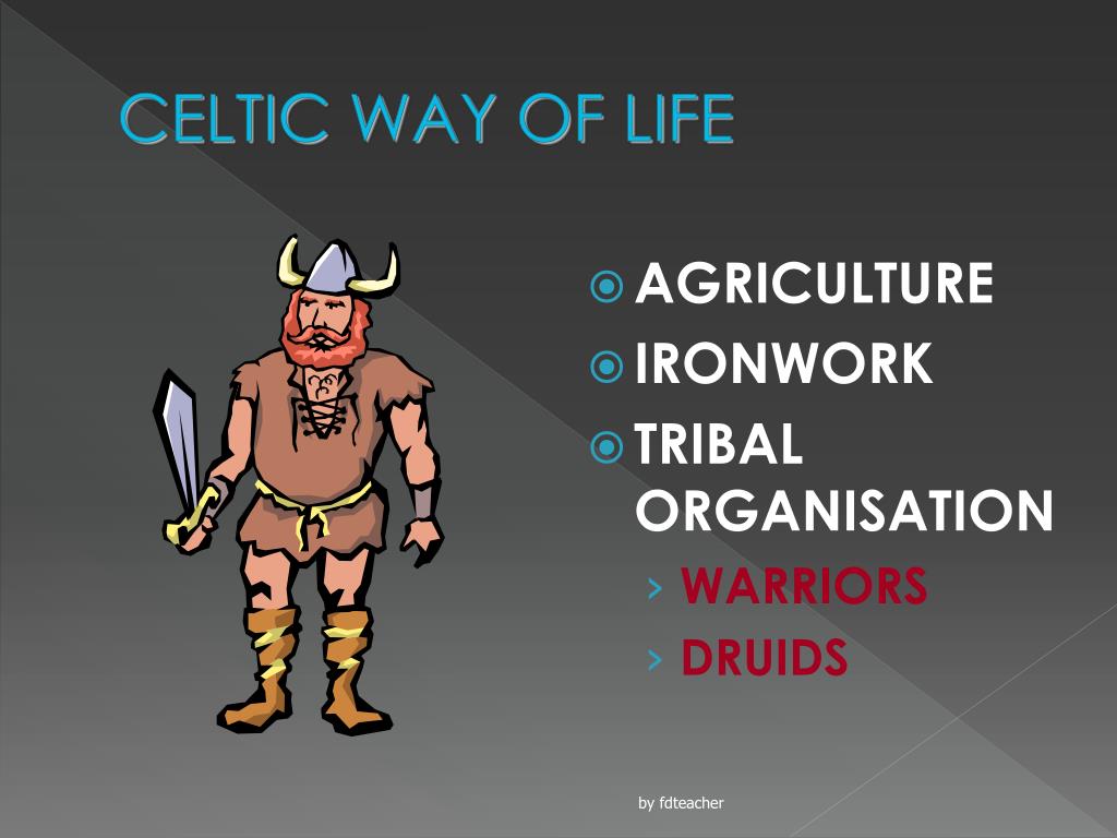 Organisation: Celtic Warriors