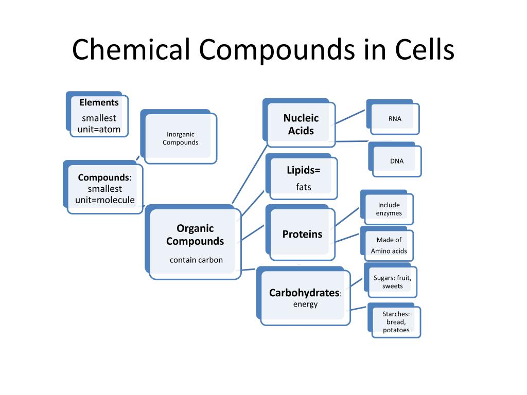 when specialized cells join together in a group they form when specialized cells join together in a group they form