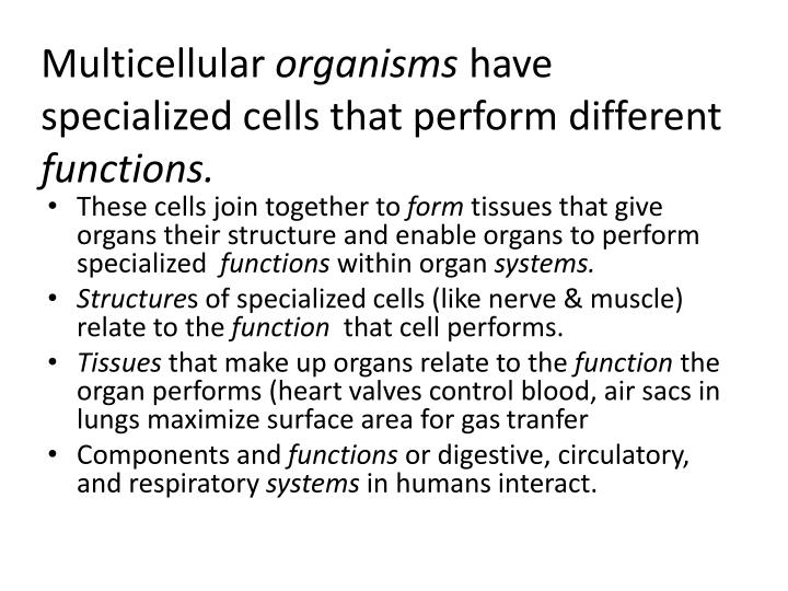 when specialized cells join together in a group they form