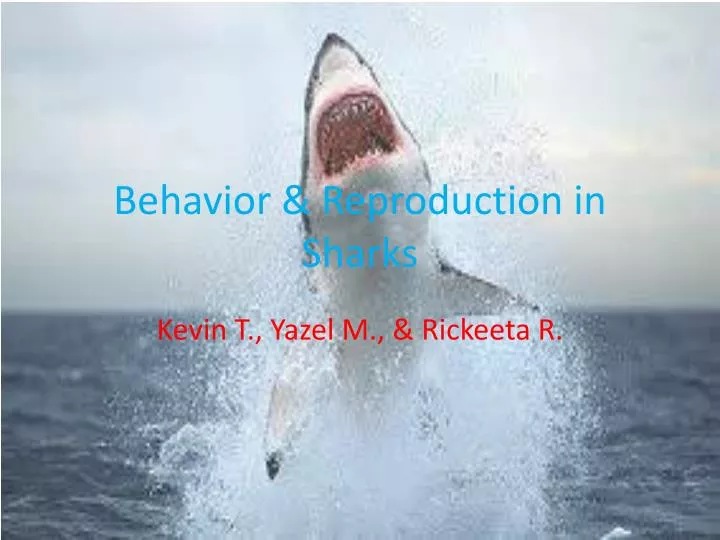 PPT - Behavior & Reproduction in Sharks PowerPoint Presentation, free ...