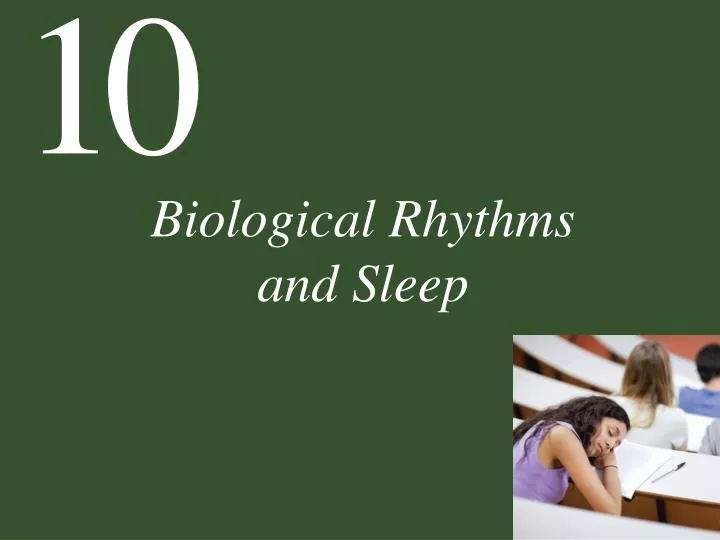 biological rhythms and sleep n.