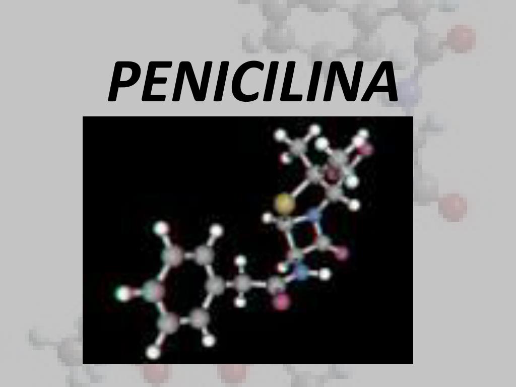 PPT - PENICILINA PowerPoint Presentation, free download - ID:2288332