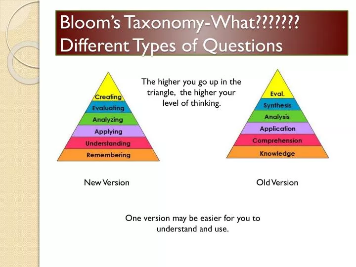 what are the different classes in taxonomy