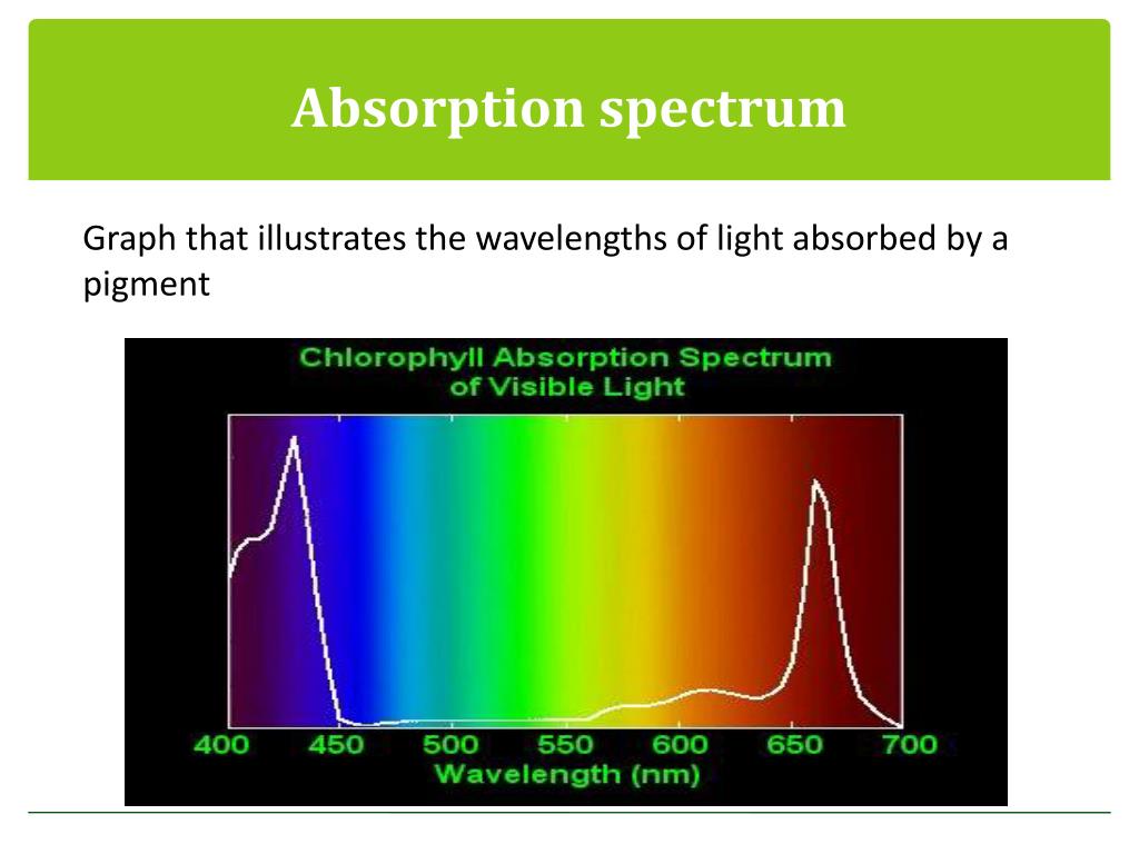 absorption spectra example absorption spectra example