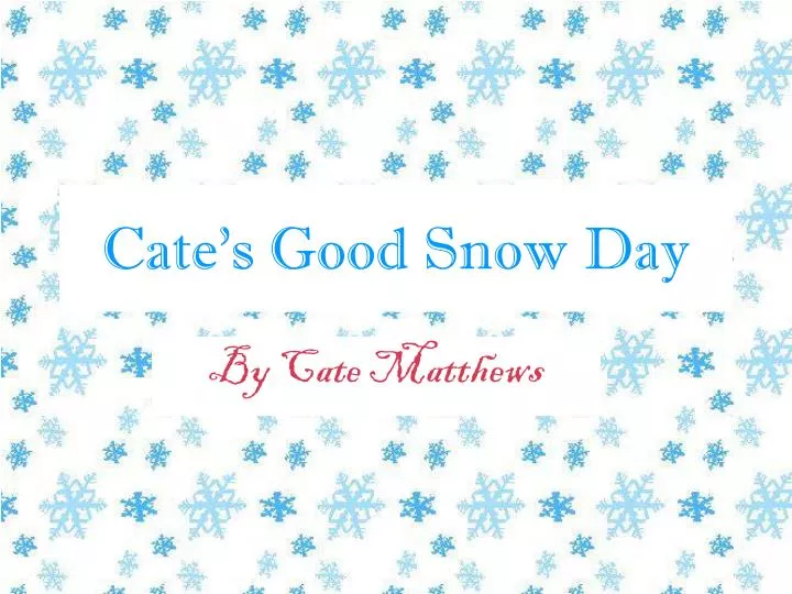 cate s good snow day n.