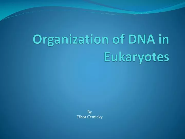 PPT - Organization of DNA in Eukaryotes PowerPoint Presentation, free ...