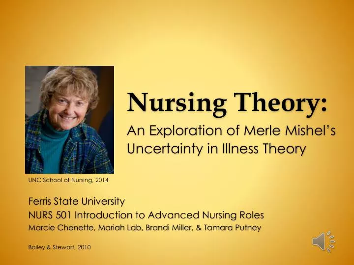nursing theory n.