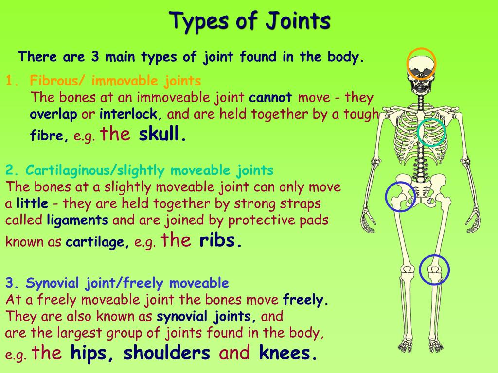 joint presentation meaning