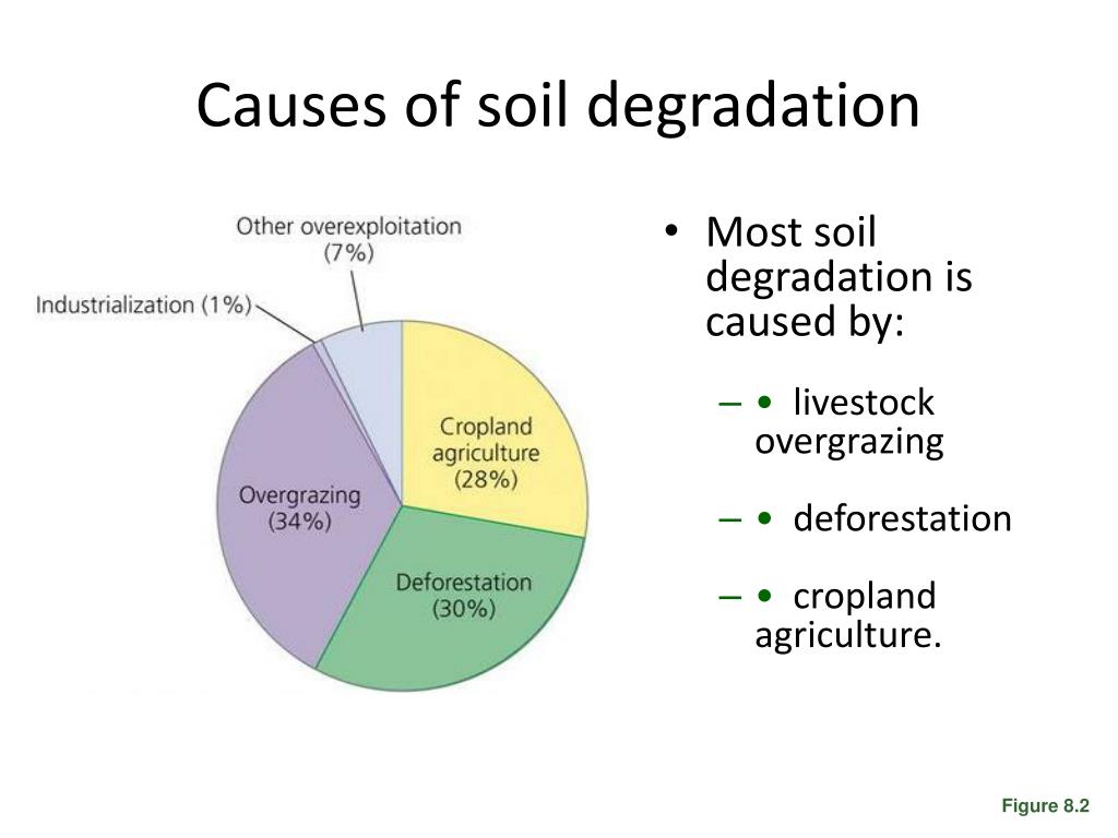essay soil degradation