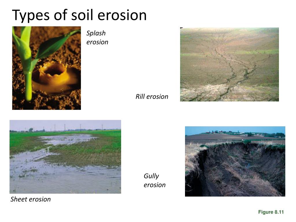 4 Types Of Soil Erosion