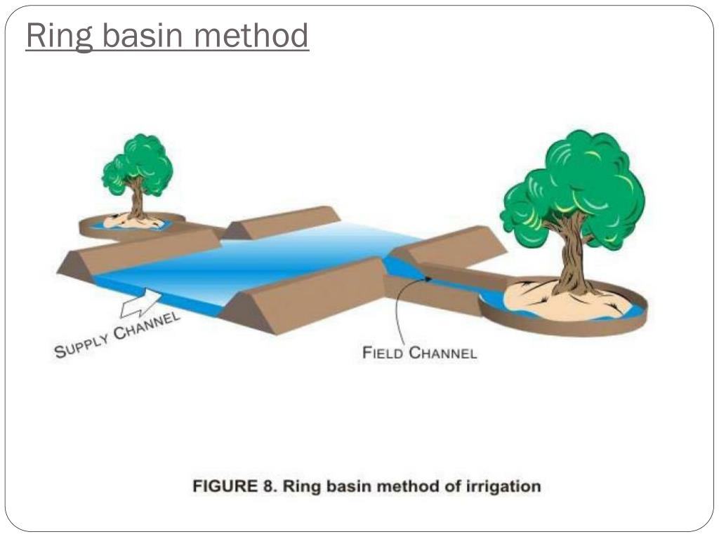 Irrigation history and methods | PPT