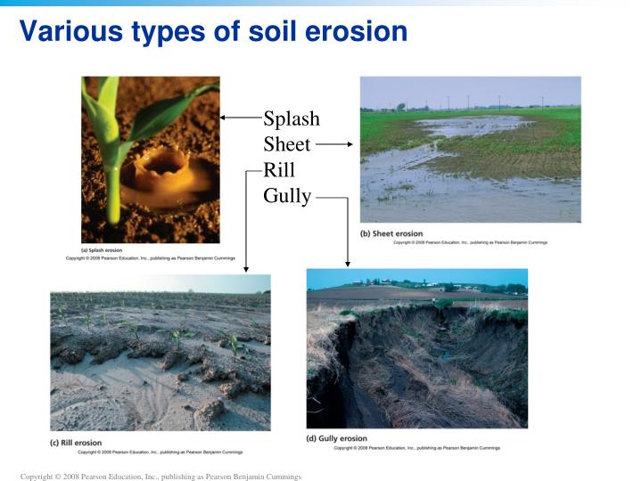 Ppt Chapter 9 Soil Degradation And Conservation Point Various Types Of Soil Erosion
