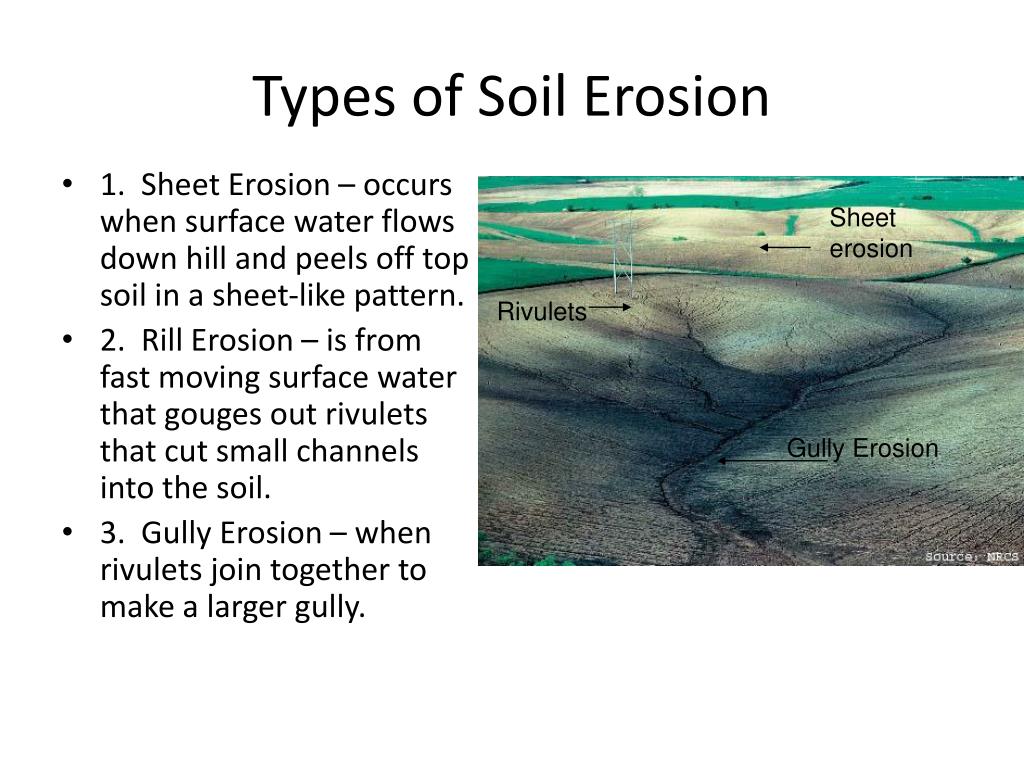 PPT - A Closer Look and Water and Soil Degradation PowerPoint ...