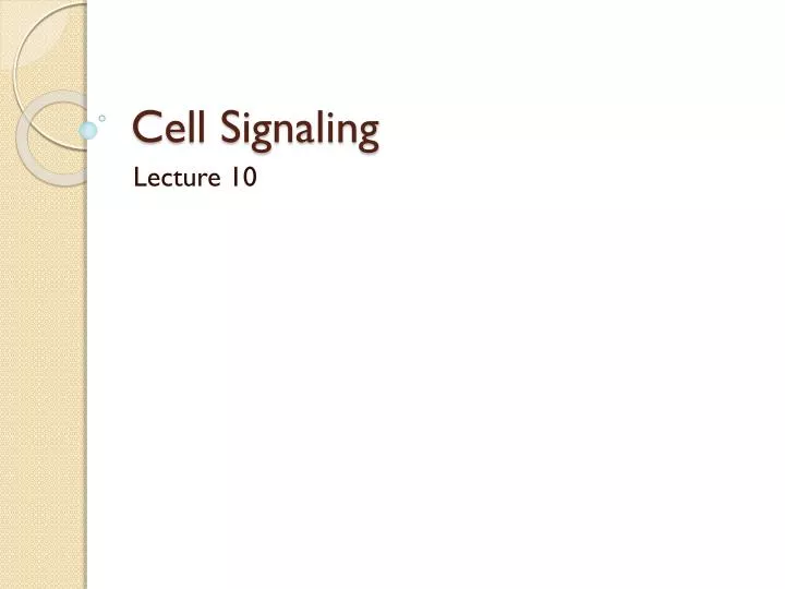 cell signaling n.