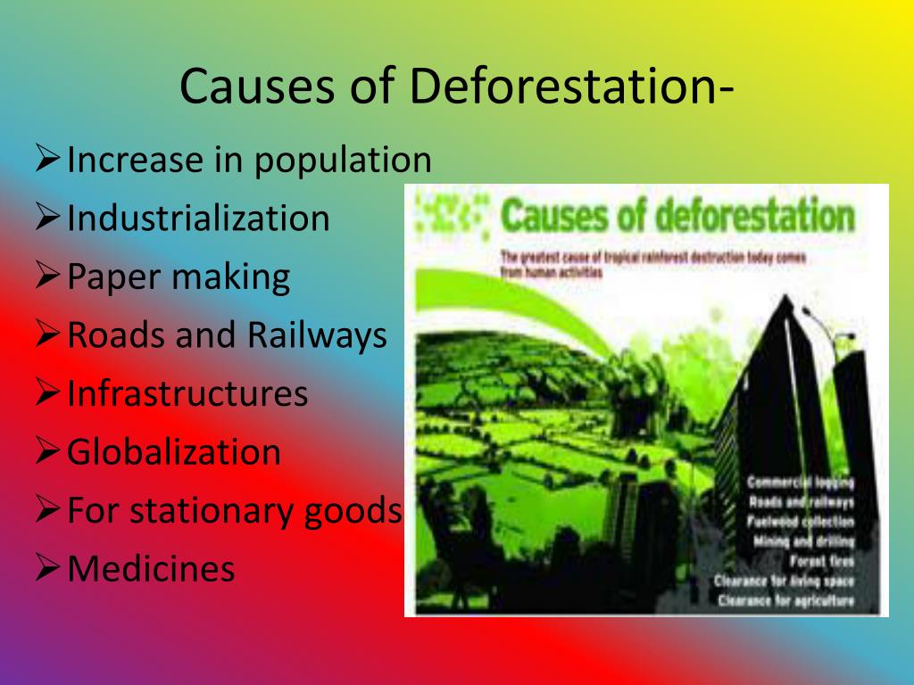 case study on deforestation in india ppt