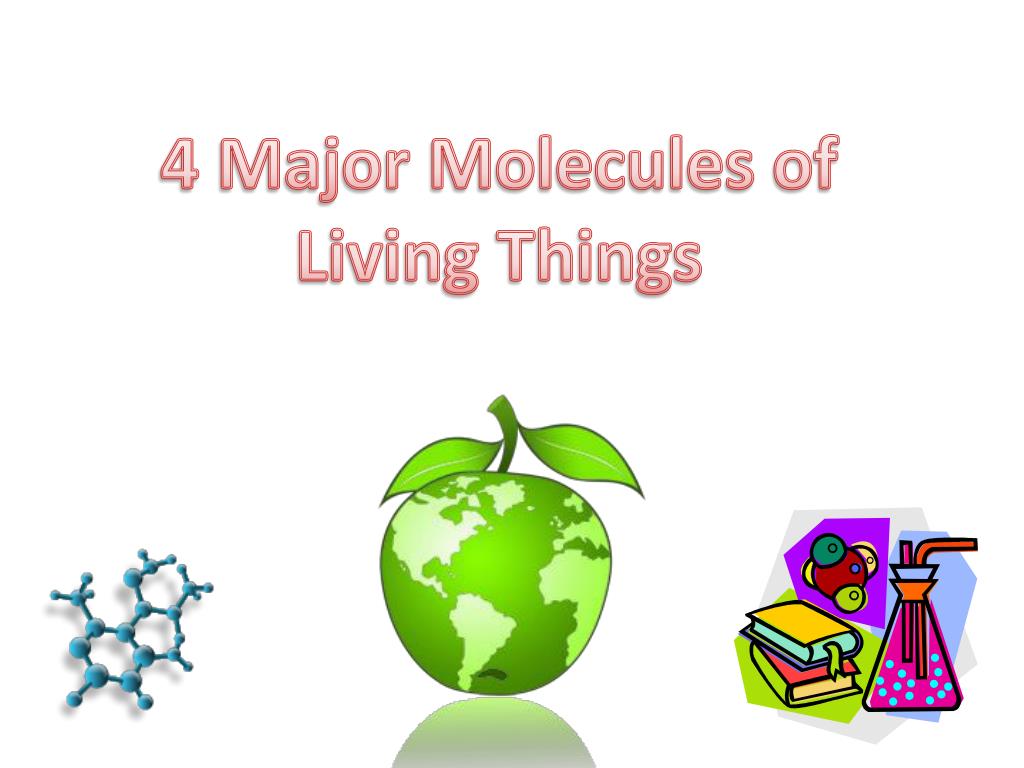 PPT 4 Major Molecules of Living Things PowerPoint Presentation, free