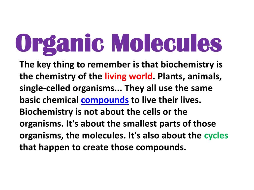 PPT 4 Major Molecules of Living Things PowerPoint Presentation, free