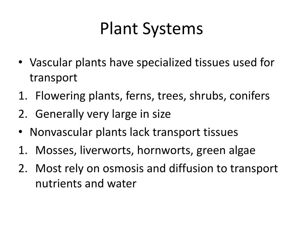 PPT Animal and Plant Systems and Ecology PowerPoint Presentation, free download ID2293135