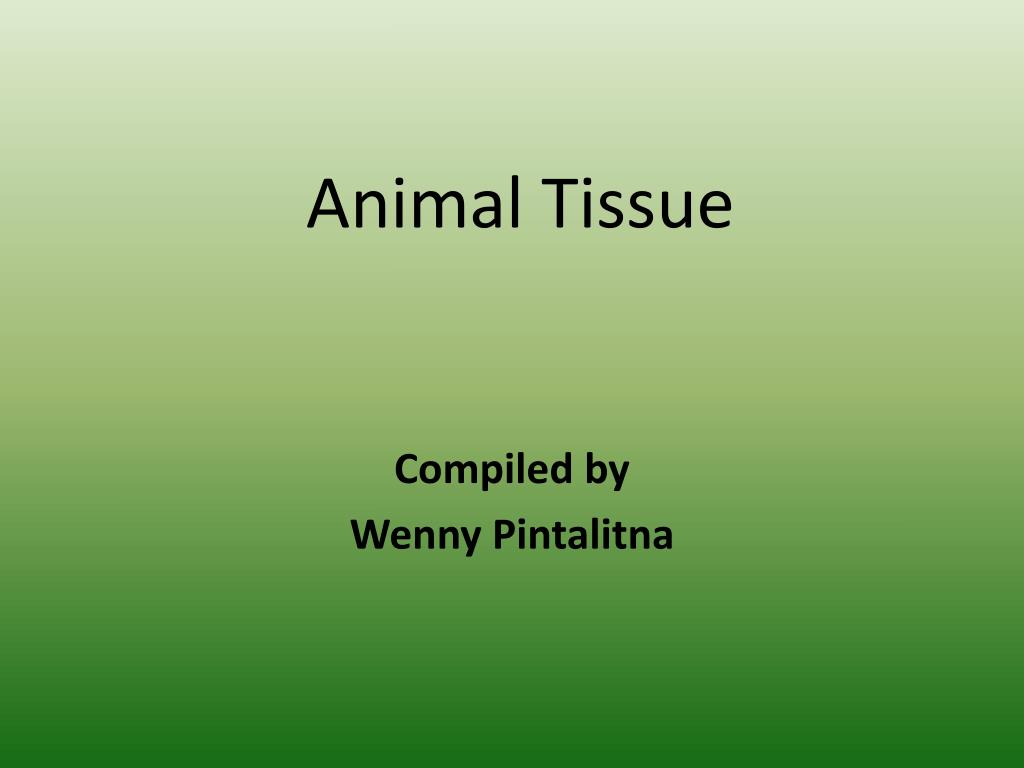 PPT - Animal Tissue PowerPoint Presentation, free download - ID:2296600