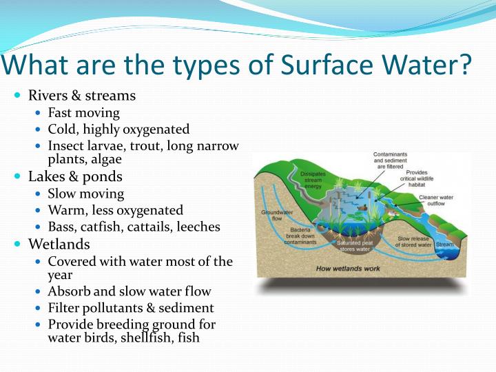 PPT WATER PowerPoint Presentation ID2297332