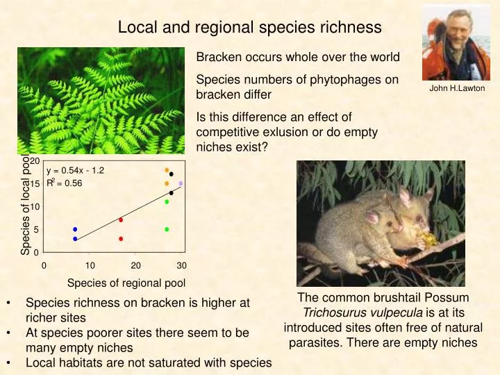PPT - Local and regional species richness PowerPoint Presentation, free ...