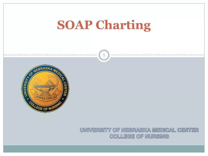 Soap Charting Definition