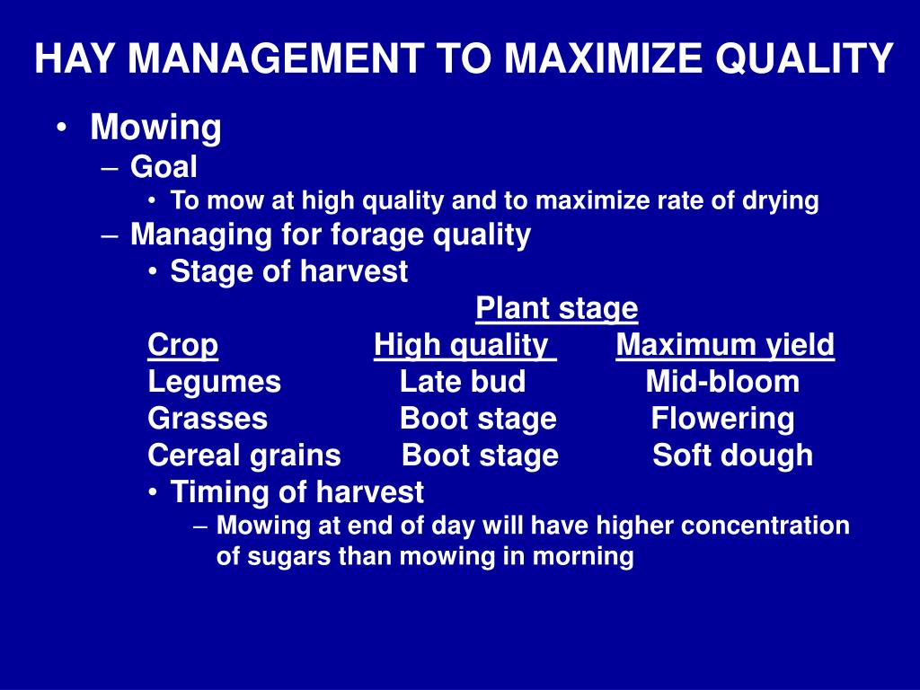 PPT - HARVESTED FORAGES Green Chop and Hay PowerPoint Presentation ...