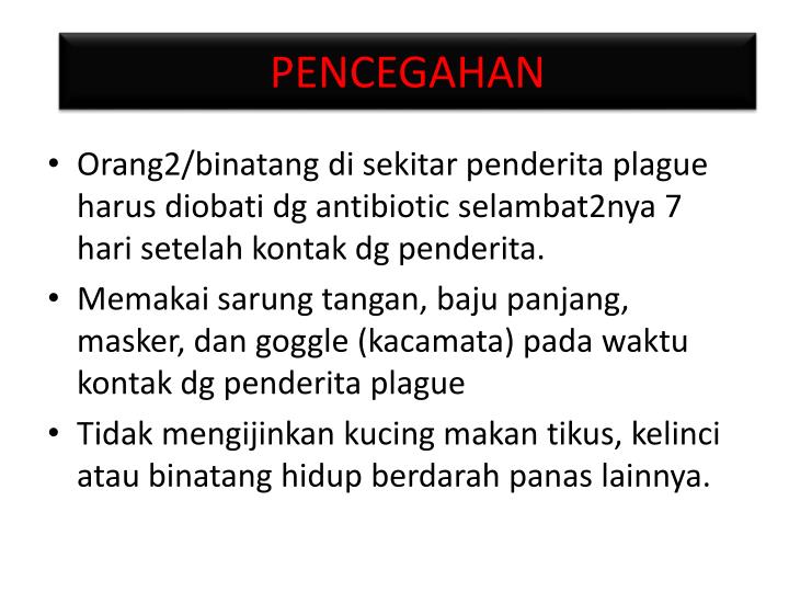 PPT - Penyakit Pes di China PowerPoint Presentation - ID 