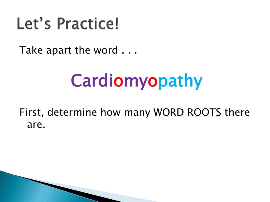Medical Prefixes Medical Root Words Medical Suffixes Abbreviations