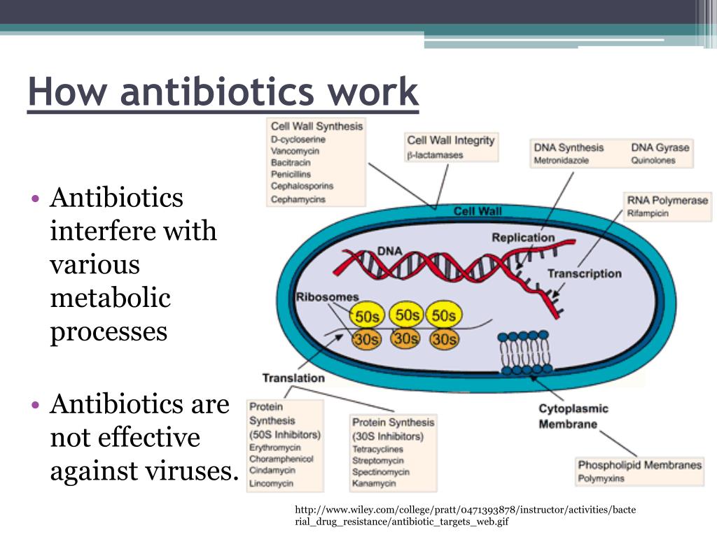 Ppt Defense Against Infectious Disease Powerpoint Presentation Free