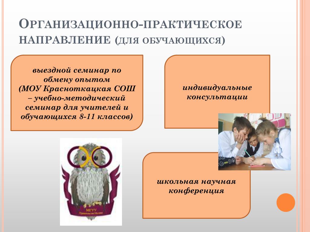 Политическая деятельность школьников. Организация деятельности школьников (сотрудничества или…???).