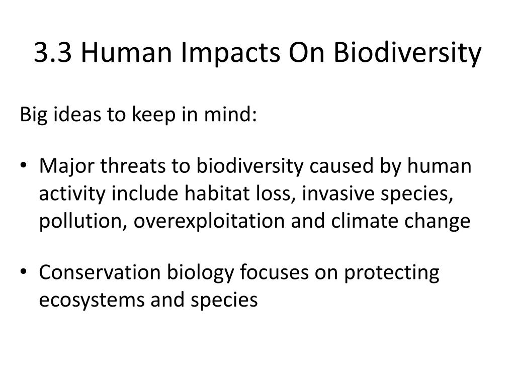 Major threats facing keystone species and the consequences for biodiversity
