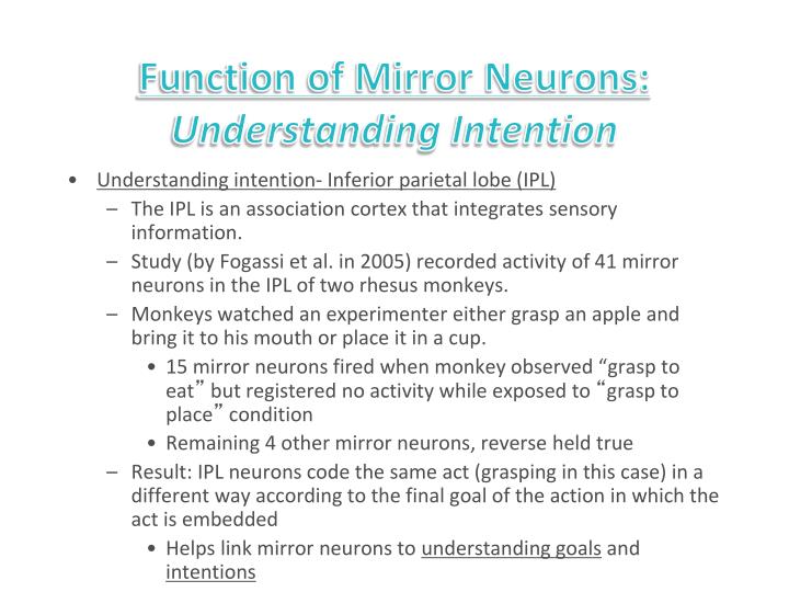 PPT Mirror Neurons PowerPoint Presentation ID2315230