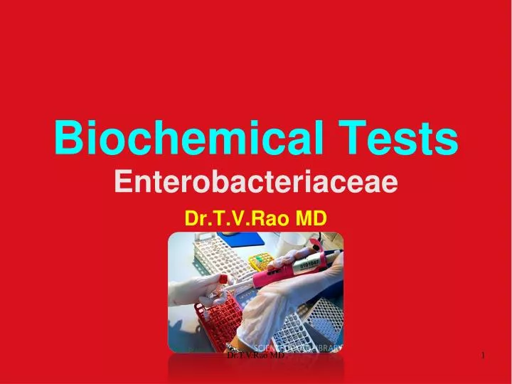 biochemical tests enterobacteriaceae n.