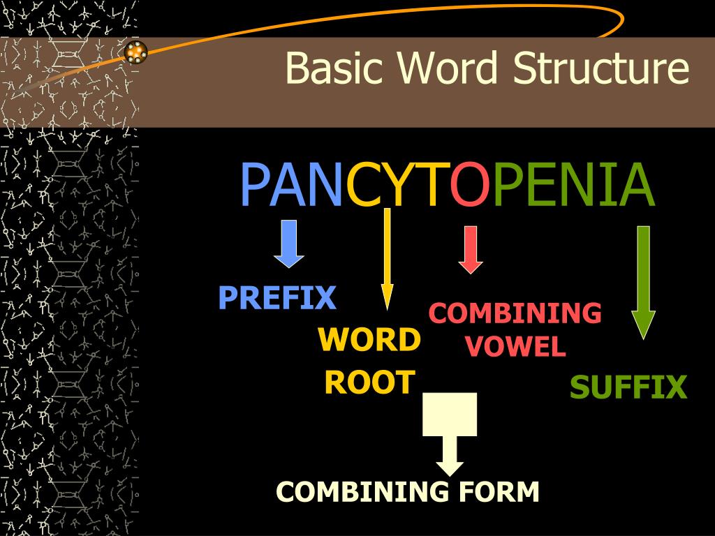 Word structure