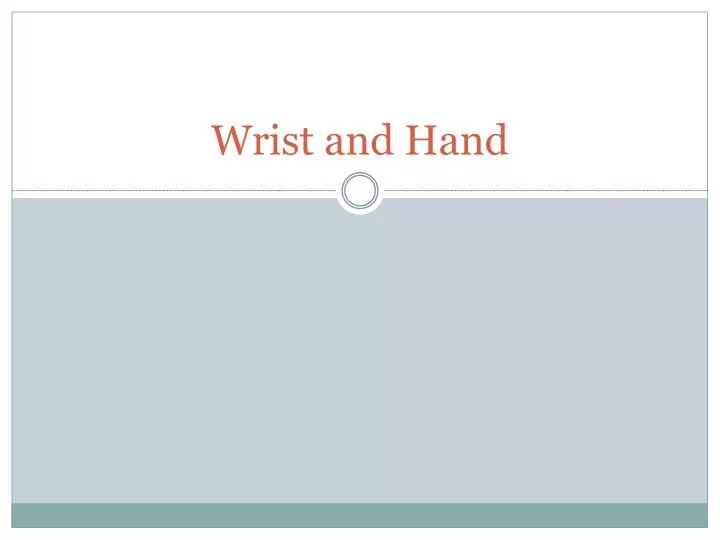 wrist and hand n.