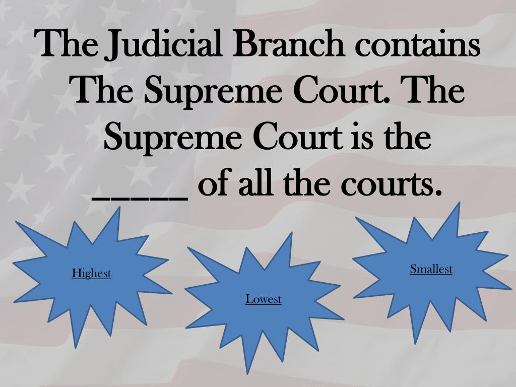 PPT - Understanding the US Government Branches PowerPoint Presentation ...
