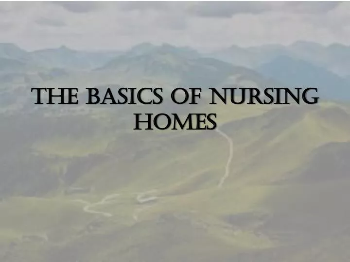 the basics of nursing homes n.