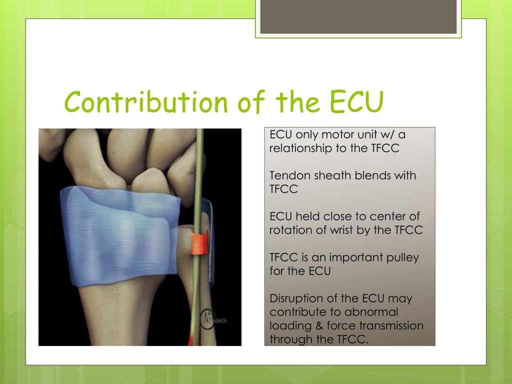 PPT - Pediatric Sports Injuries of the Wrist and Hand PowerPoint ...