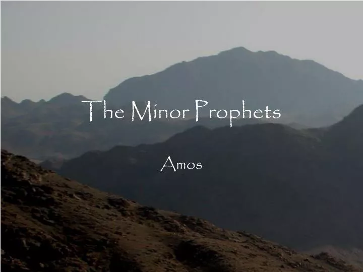 the minor prophets n.