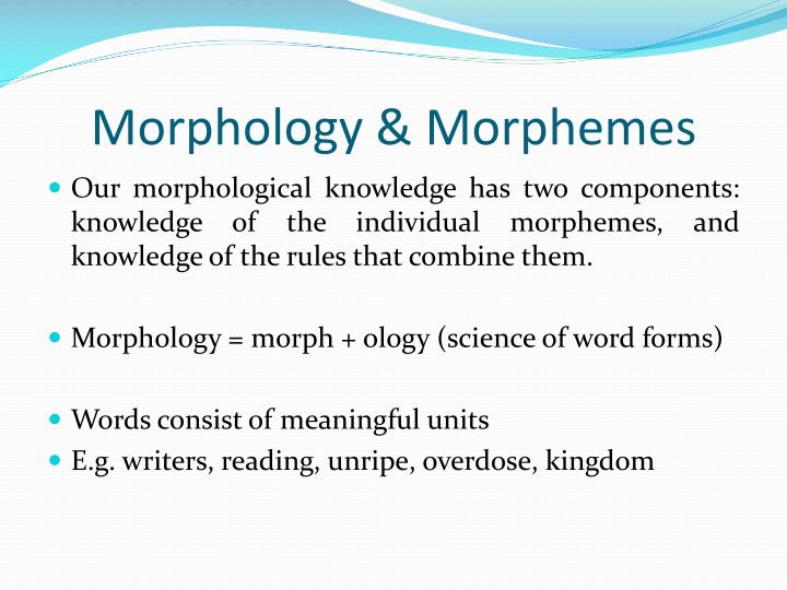 morphology morpheme and word morphology morpheme and word