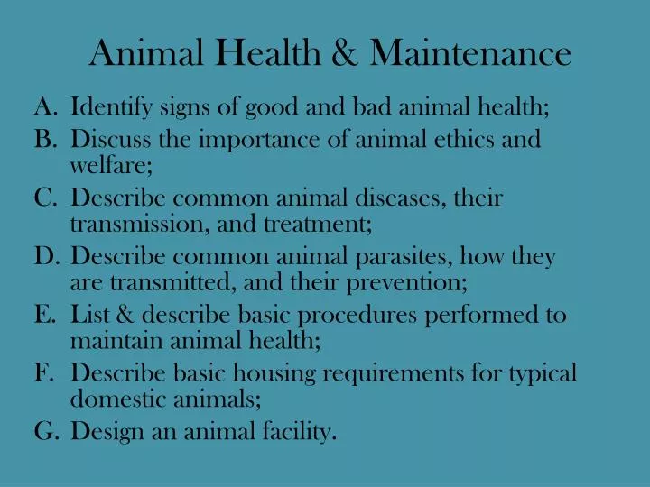 PPT - Animal Health & Maintenance PowerPoint Presentation, free download -  ID:2318896
