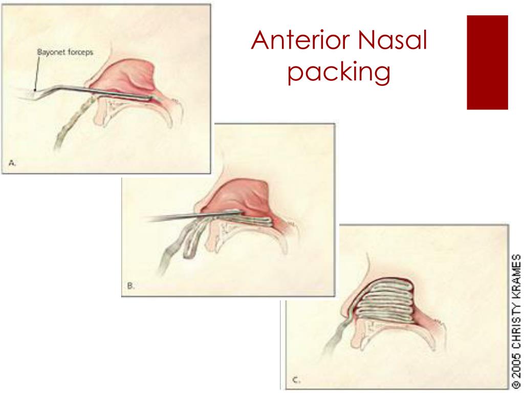 PPT KAU Rabigh Medical School PowerPoint Presentation, free download